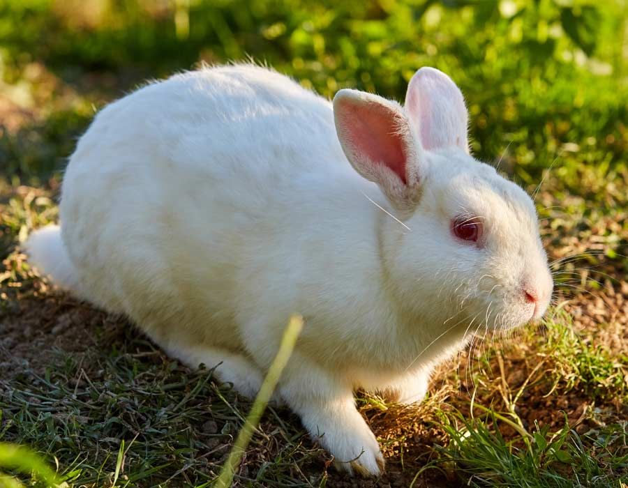 Apartamento rural Itziar - Home Suites Apartments